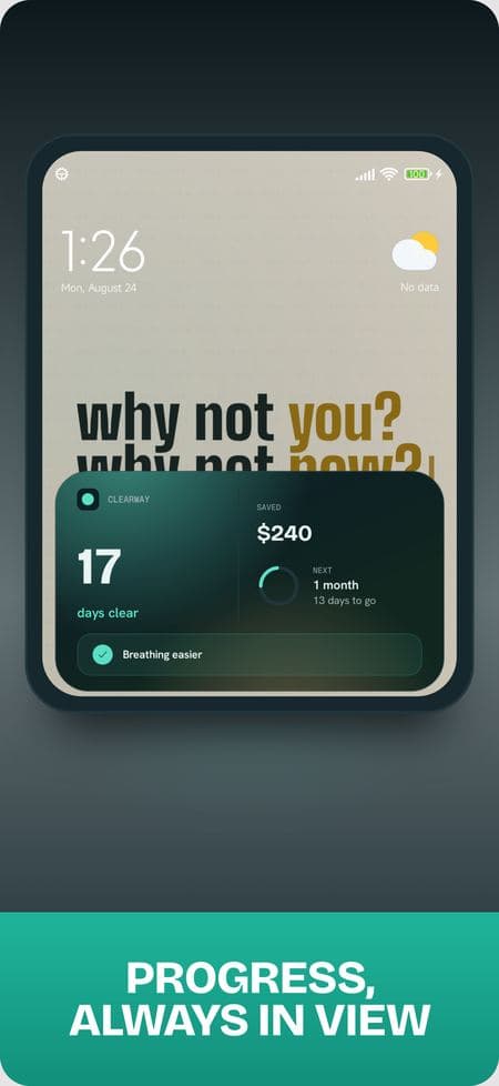 The home screen widget showing progress
