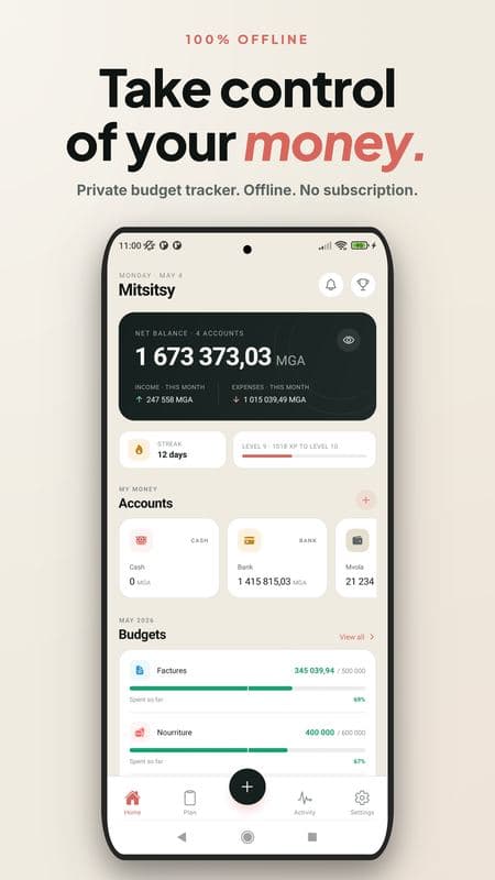 Mitsitsy home screen showing the net balance and monthly totals